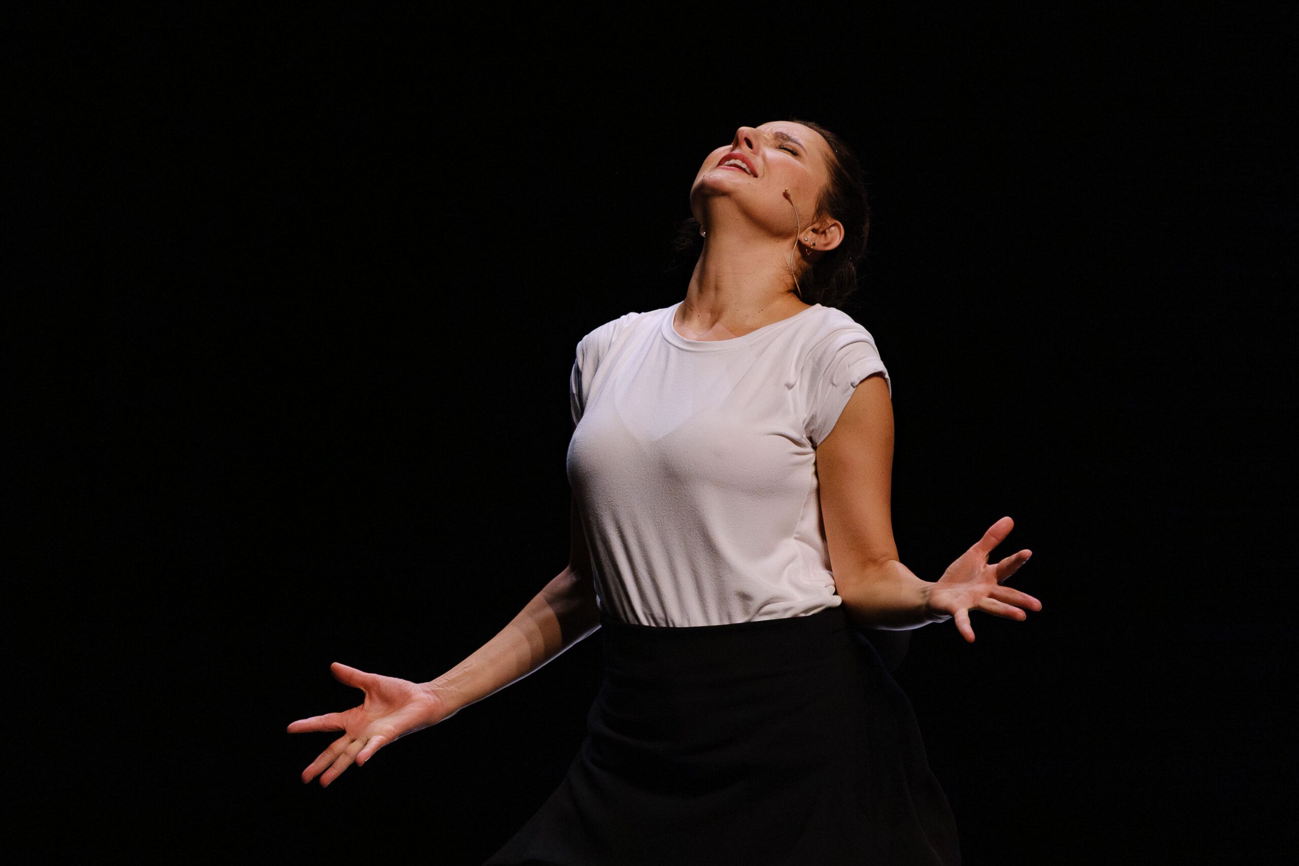 Lire la suite à propos de l’article Cie Rediviva – Stéphanie Fuster – PARLER FLAMENCO